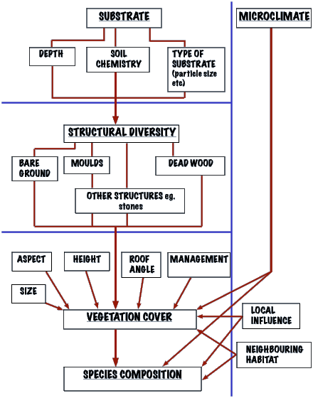 Species composition hierarchy flowchart