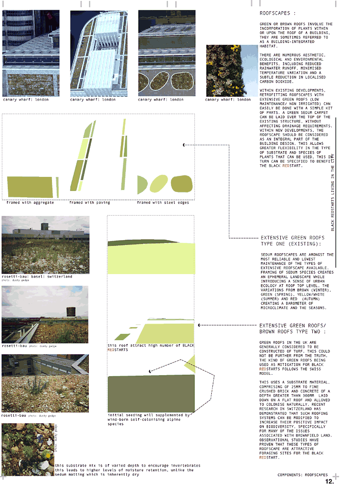 Brown & Green roofs