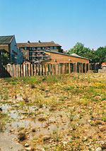 Terrestrial landscaping,Deptford, Lewisham