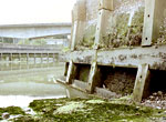 New Flood Defences