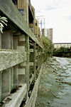 Old Creek Walling