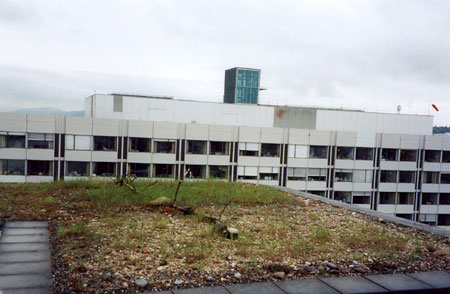 greenroof mitigation