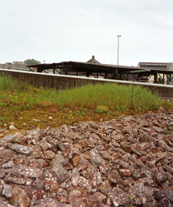 Underpass Roof Detail