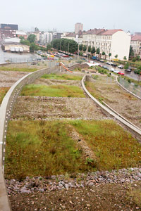 Landscaped Underpass roof